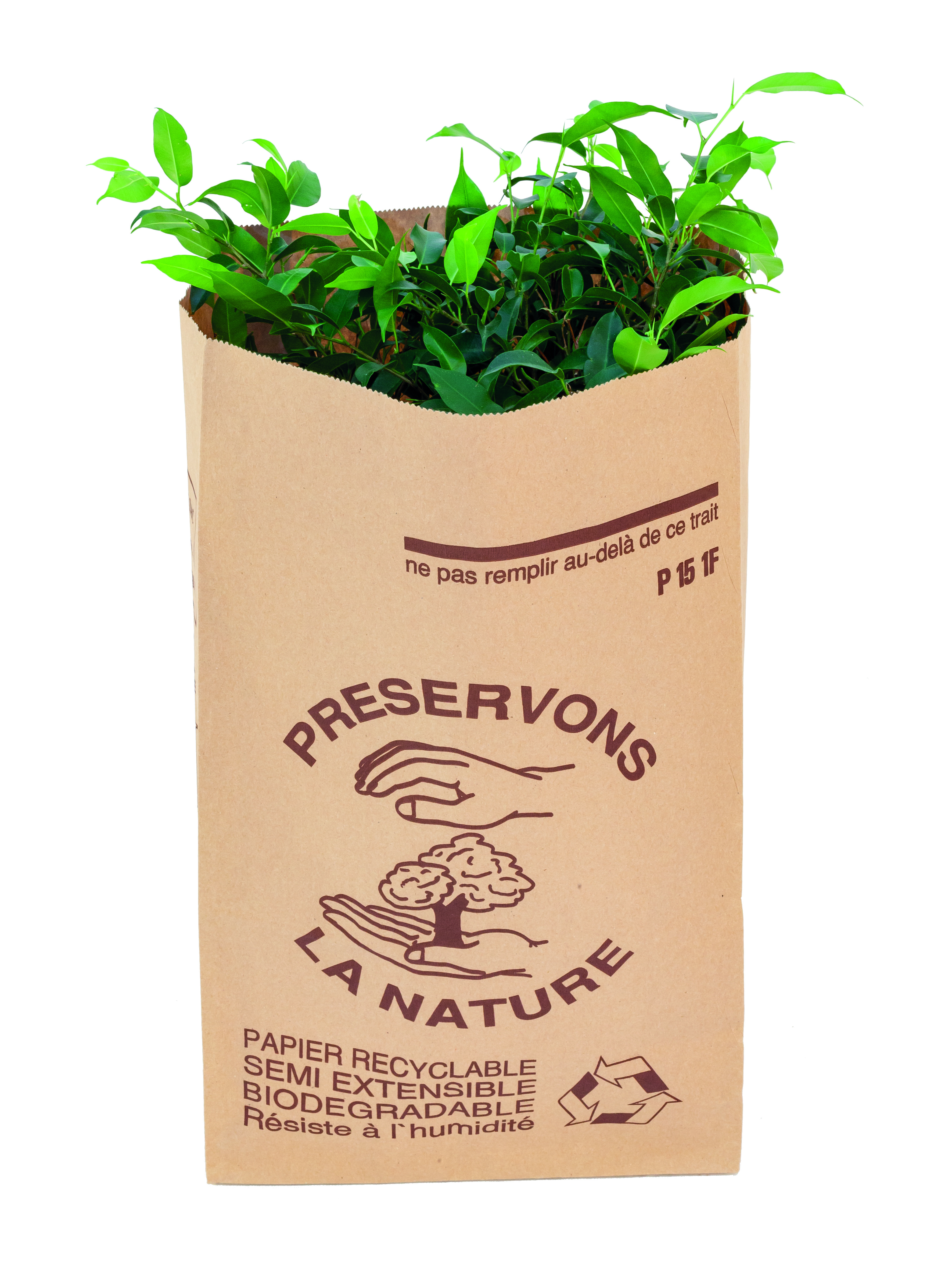 Lot de 50 Sacs Papier Compost Biodégradable 60 L - Sans Support -  Hermétiques - Résistent à l'Humidité - Kraft 2 Feuilles (Wet Strength) :  : Jardin